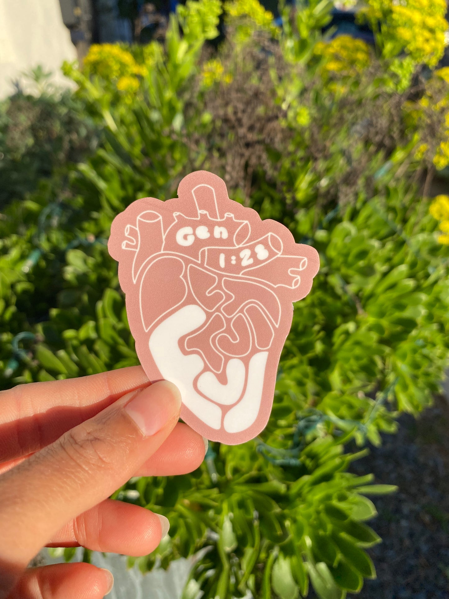 Be Fruitful x Multiply Duo