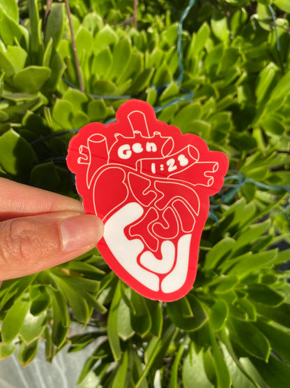 Be Fruitful x Multiply Duo