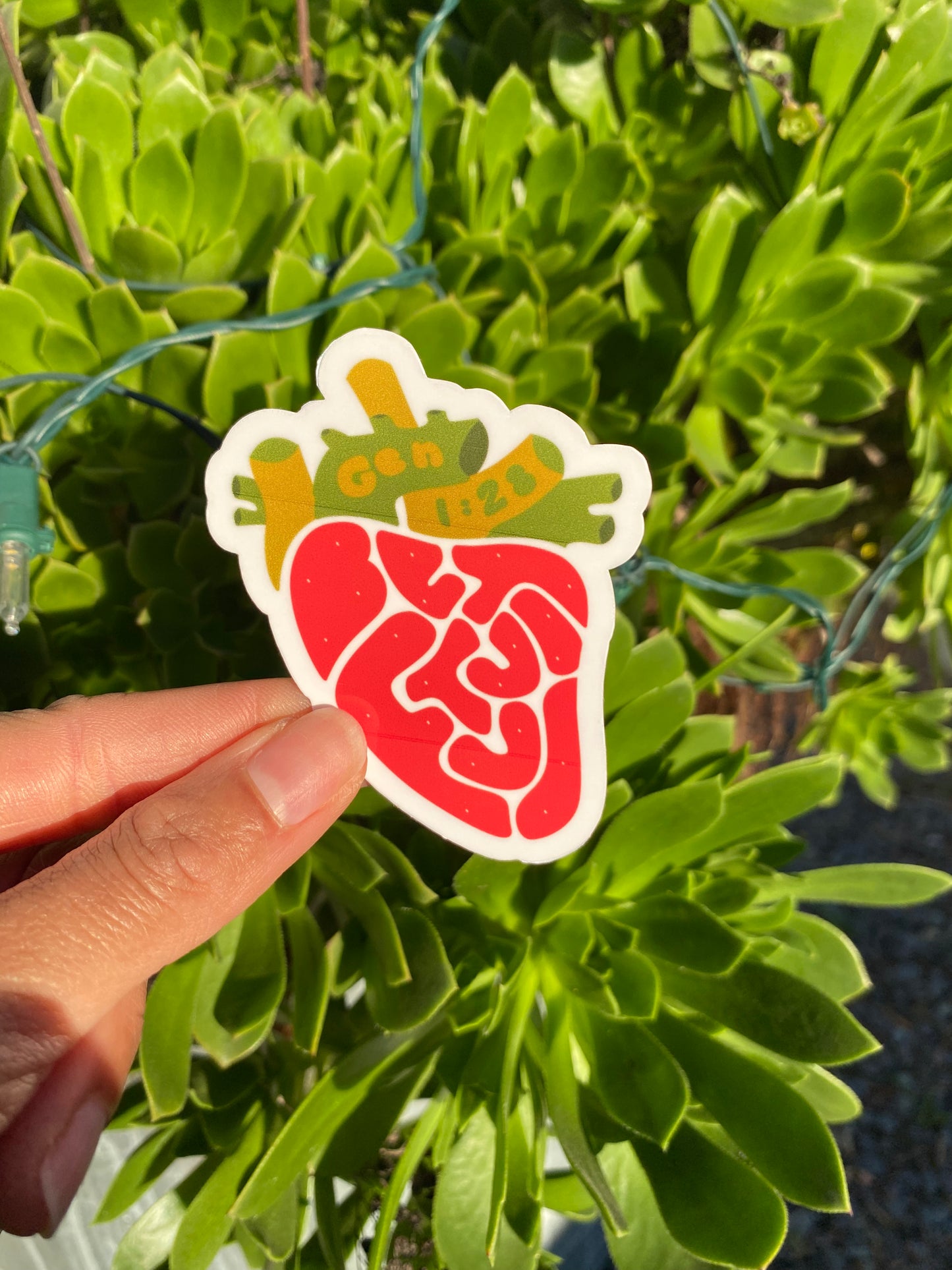 Be Fruitful x Multiply Duo