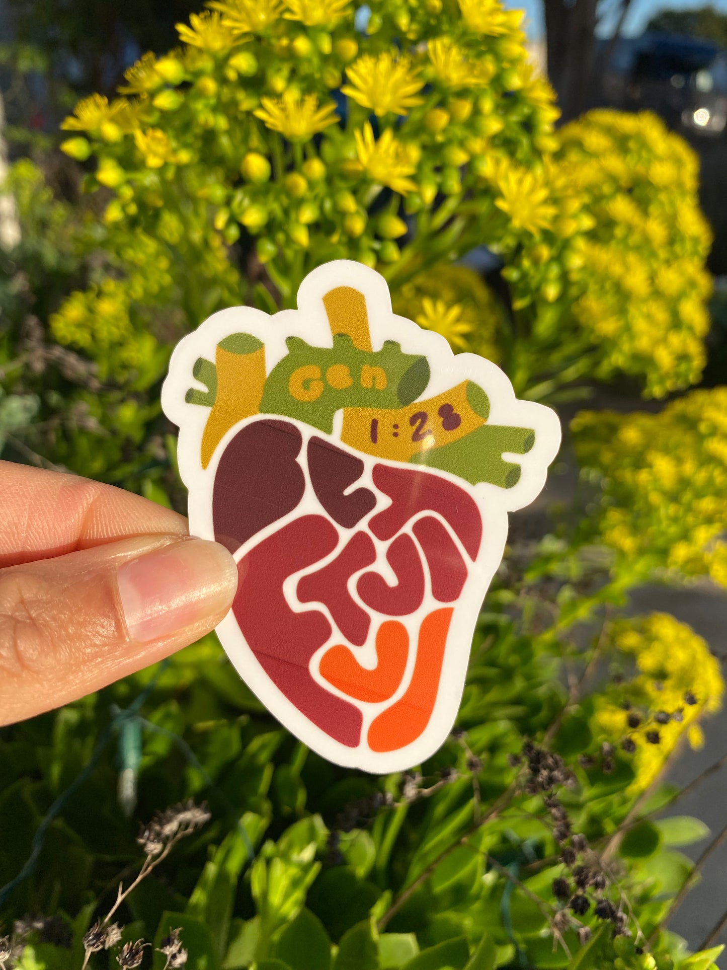 Be Fruitful x Multiply Duo