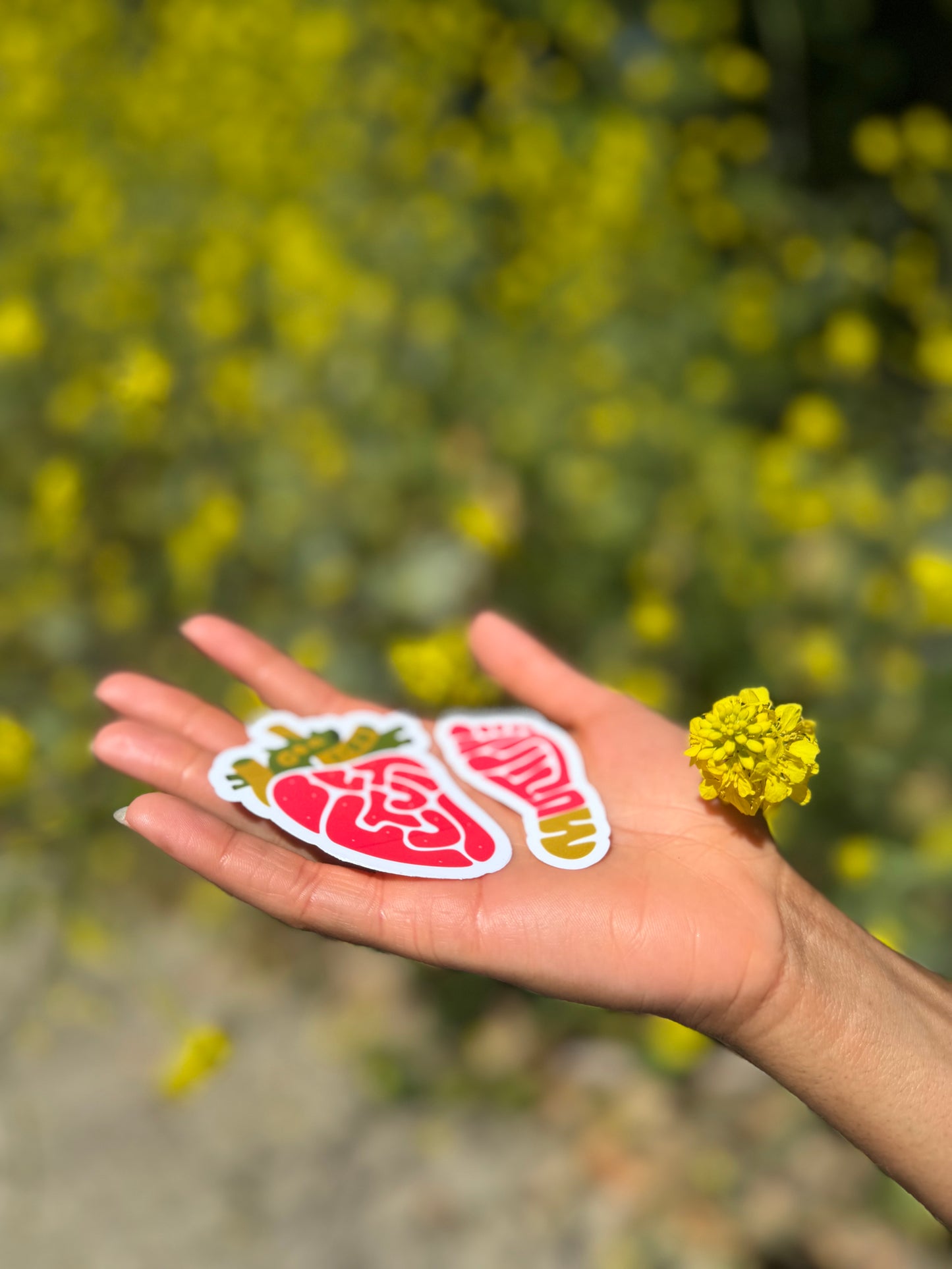 Be Fruitful x Multiply Duo